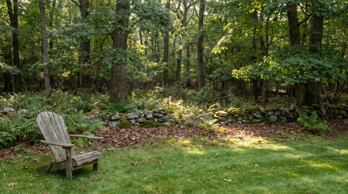Backyard edge by the woods, where ticks and mosquitoes get treated